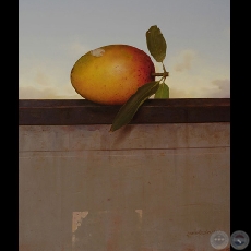 MANGO - Obra de Sebastián Díaz - Año 2005